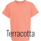 Create Your Own Youth Comfort Colors Tee - Medium